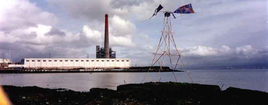 tire beach windmill