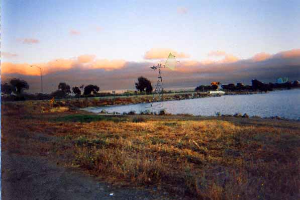 Windmill 3, in the lagoon, near 101