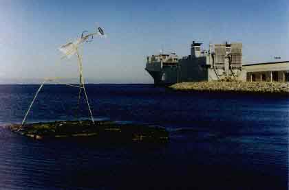 tire beach windmill