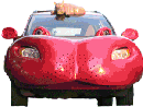Hippo Car