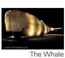The whale